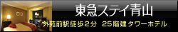 TOKYU STAY �R�@�O���O�w�k��2�� 25�K���^���[�z�e��