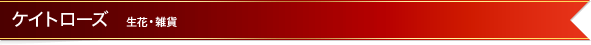 �P�C�g���[�Y